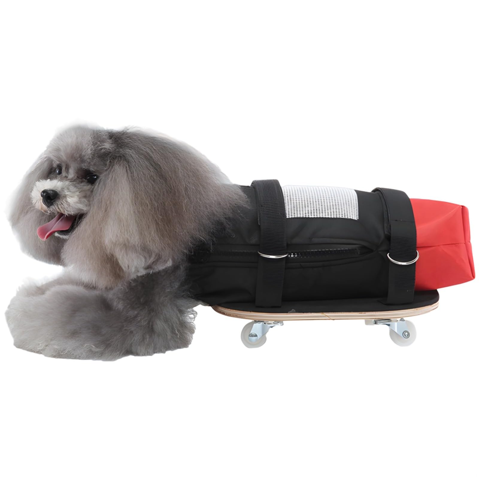 Rollstuhl für Hunde und Katzen, verstellbarer Haustier-Rollstuhl mit leisen Rädern, atmungsaktives Polyester, erhältlich in S/M/L, für behinderte Haustiere