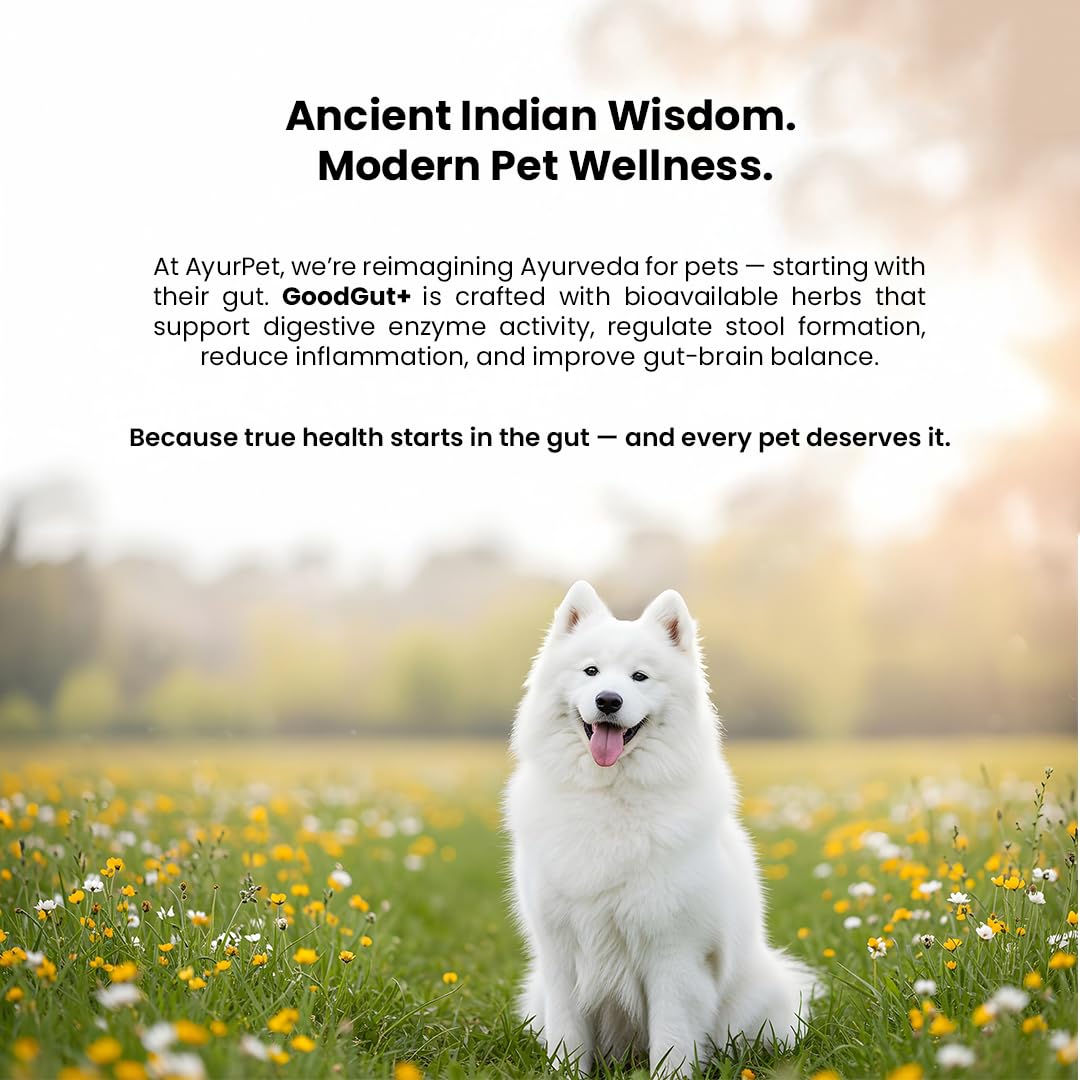 GoodGut+ Digestive Enzymes & Prebiotics for Dogs - 175ml — Amazon image 7
