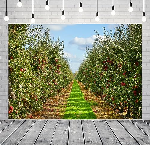 Fondo Fotográfico Manzano 7x5 ft Otoño Naturaleza miniatura 3