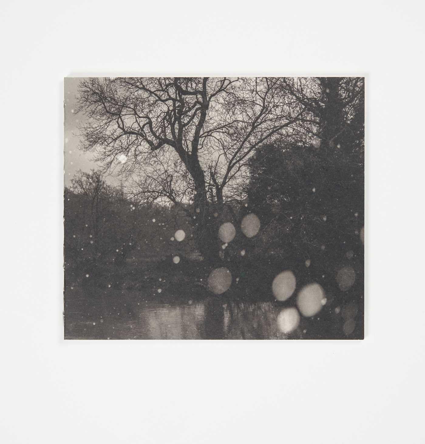 Song of silent water