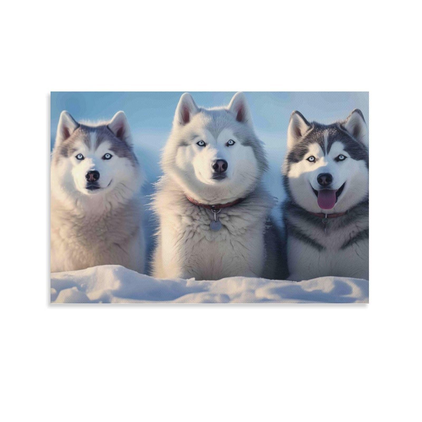 CPLVKWRQJ Siberian Husky Trio Single Three Huskies Posing Above Snowy Ground Framed Wall Art - Living Room Focal Point Ready to Hang Fade Resistant Wall Artwork 20x30inch(50x75cm)
