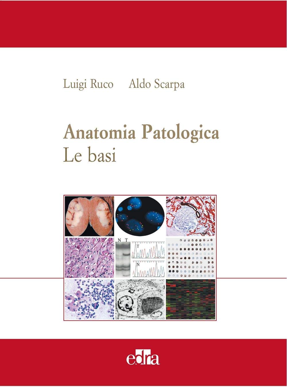 Anatomia patologica. Le basi (Vol. 1)
