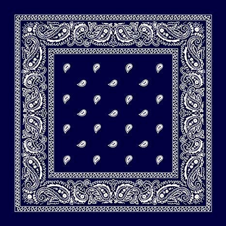 caiuse Cotton Multi-Wear Bandana Scarves, Printed Headwrap Scarf Headband Handkerchief, Head Band Bandana For Men Women-picture-50