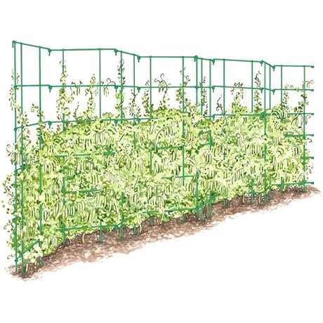 Gardeners Supply Company Sturdy Expandable Tall Pea Trellis for Climbing Plants |...