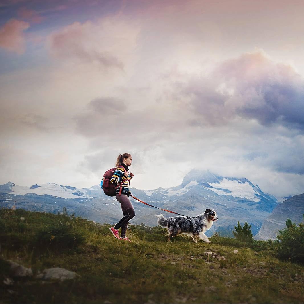 DOG Copenhagen Non-Stop - Cintura da trekking per escursioni/canicross 1 unità