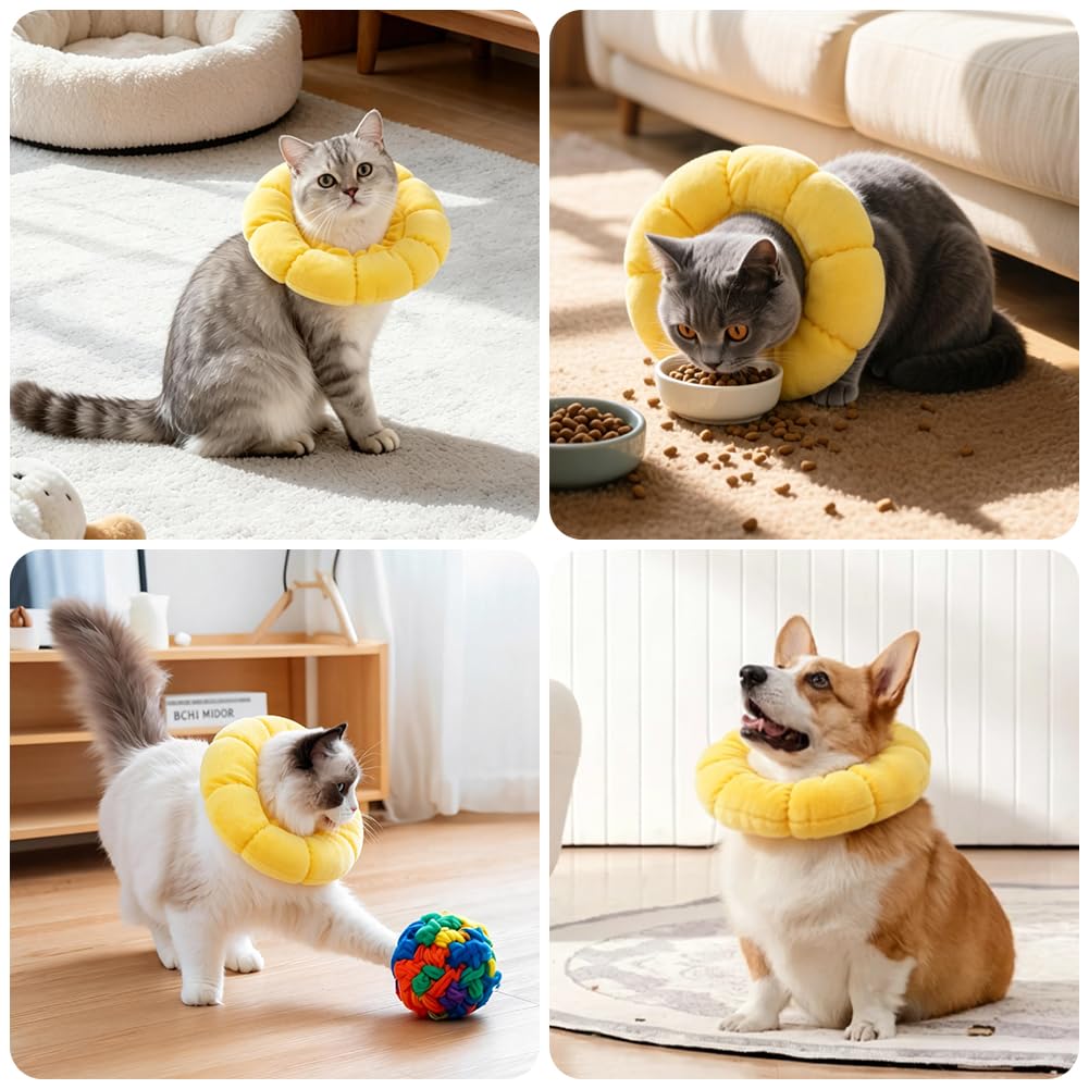 Collare Elisabettiano Gatto, Collare Protettivo Gatto, Regolabile, Morbido e Comodo, Protettivo Dopo Chirurgia, Anti-morso per Animali Domestici Dopo l'Intervento Chirurgico,Girasole Carino (XS)