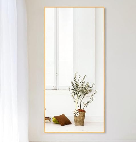 Miniatura 123 de NeuType - Espejo de cuerpo completo, espejo de pie de cuerpo completo, 64 x 21 pulgadas con soporte, espejo de pie para colgar o apoyar contra