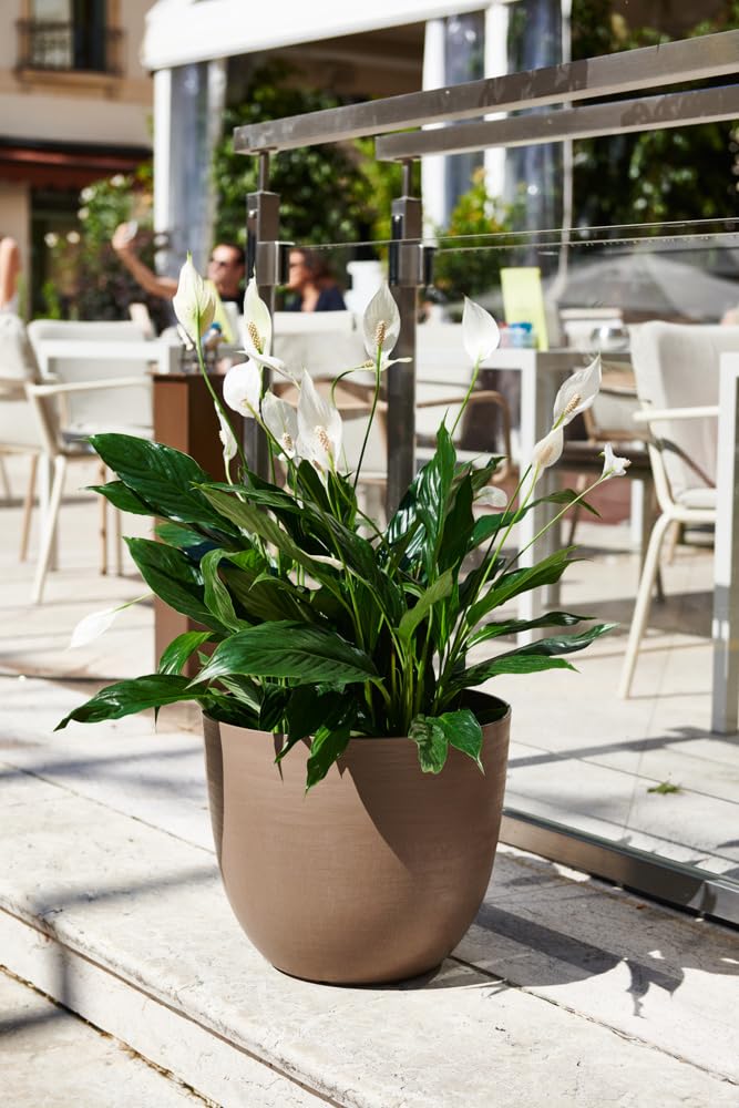 Teraplast Vase élégant avec Bol Mod. Over, jardinière d'extérieur et intérieur Grand en polyéthylène, épaisseur 5 mm, Effet Rugueux, avec réserve d'eau, diamètre 38 x 32 cm (diamètre 38 cm, Noir