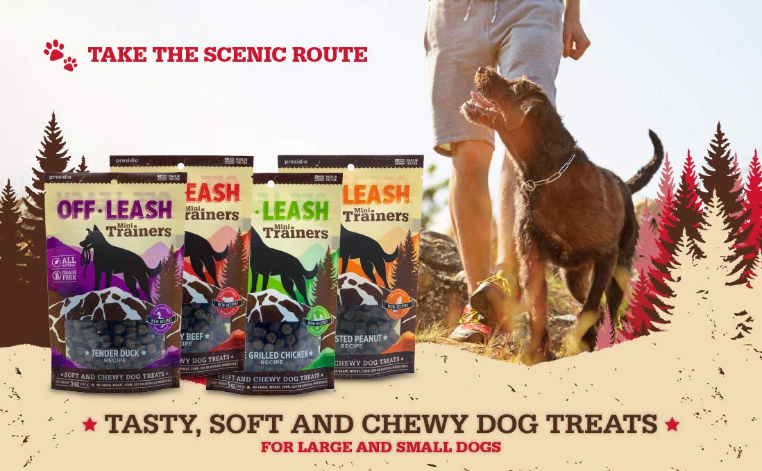 off leash mini trainers