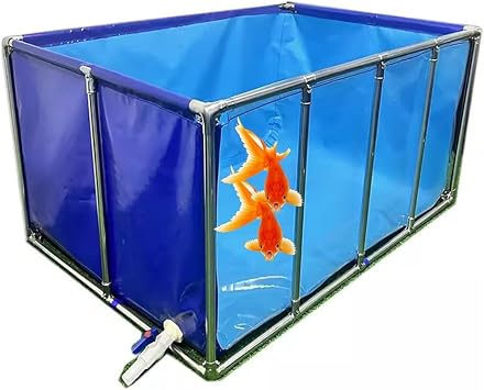 بركة فوق الأرض، بركة حوض السمك شفافة بركة مع صمام استنزاف، قماش PVC مع إطار فولاذي ونافذة عرض شفافة للبرك حوض السمك كوي جولدفيش اللون الأزرق + واضح، الحجم 100 X80X35C