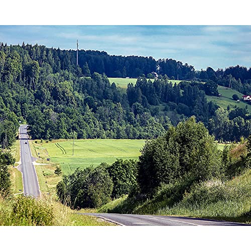 Peinture au diamant 5D route de la forêt kit de broderie mosaïque adulte cadeau créatif 30x40cm