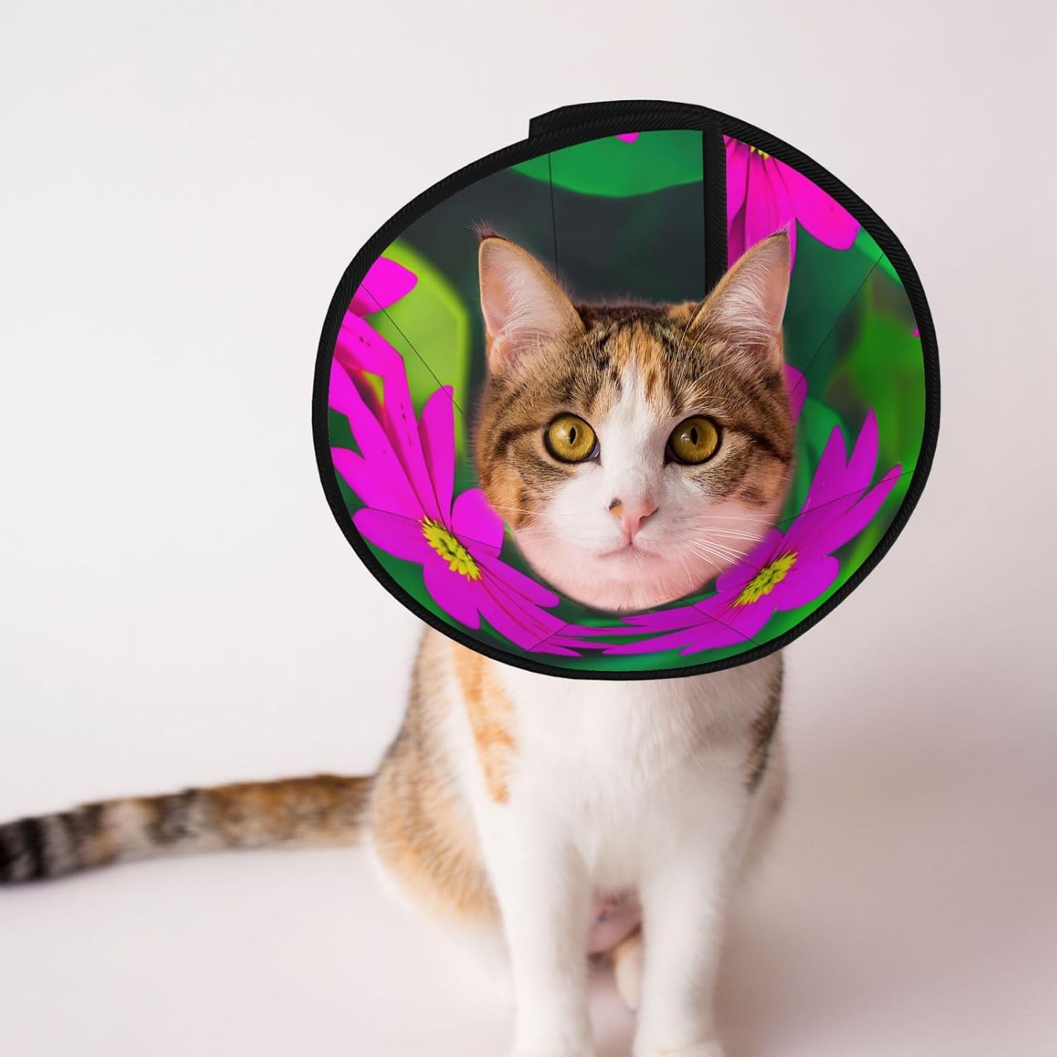 Flower Leaves Purple Red Flower 1 Print Cat Cone Collar, Adjustable Elizabethan Collar, Soft Dog Recovery Collars, for Small Large Cats