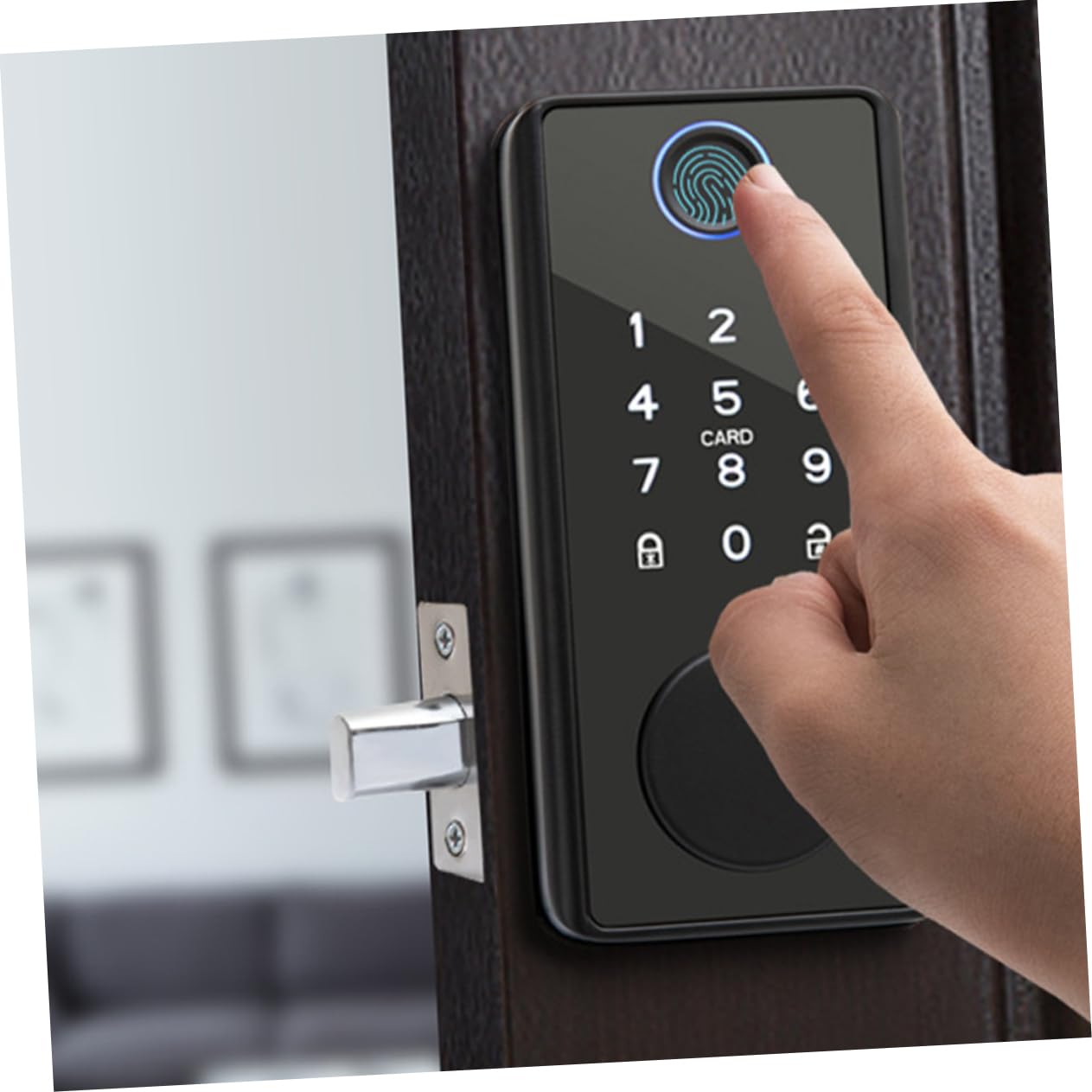 SEWACC Keyless Entry Door Lock Fingerprint Password Abs Plastic for Wood Graffiti Doors Outdoor Use