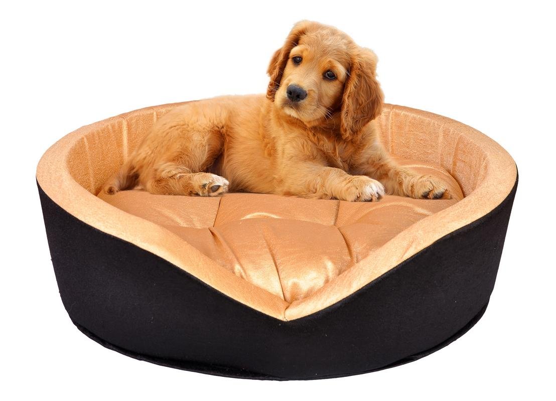 slatters be royal store Reversible Dual Ultra Soft Velvet Luxury Golden Brown Color Sofa Bed Pet Bed | Dog Bed | Cat Bed | Puppies Puppy Bed | Rabbit Bed, Small