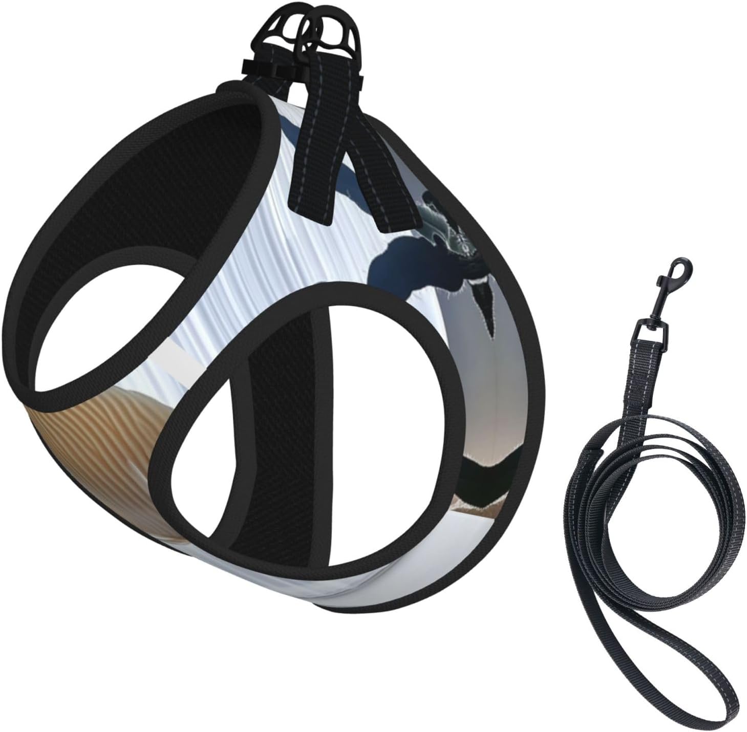 Fish Floating in The Bedroom Pet Vest Small Size Dog Harness and Leash Set for Training, Reflective & Adjustable with Accessories Small