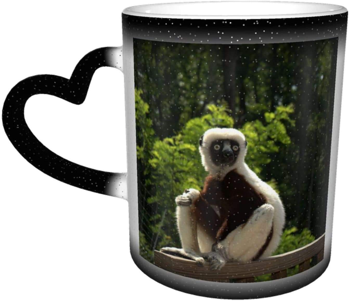 Ceramics Mug Zoboomafoo Lemur Zoboo Heat Sensitive Color Changing Mug in The Sky Coffee Mugs Ceramic Cup