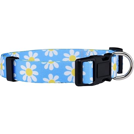 daisy dog collars