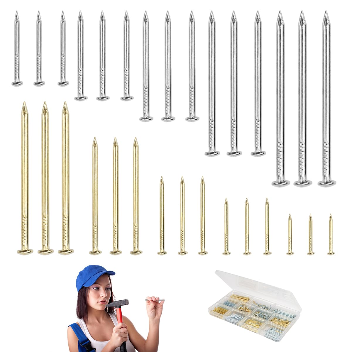 Kit di 900 Chiodi Assortiti, 10 Misure Assortimento di Chiodi, Chiodini per Quadri Muro, Chiodi per Legno, Chiodi in Acciaio, Chiodi per Cemento Armato, per Fissaggio Cornici, Lavorazione del Legno