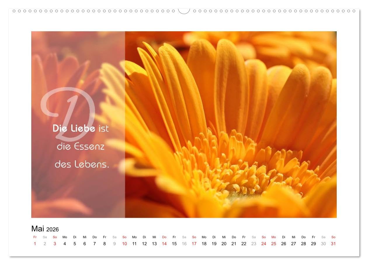 Kraft für Deine Seele (hochwertiger Premium Wandkalender 2026 DIN A2 quer), Kunstdruck in Hochglanz: "Inspiration ist die Sprache der Seele." Dieser ... in einem exklusiven Design. (CALVENDO Glaube)