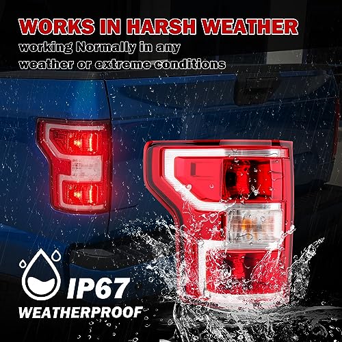 Mzorange Brake Tail Light Rear Lamp For Ford F150 F-150 2018 2019 2020 (Left Driver Side) #TOP3
