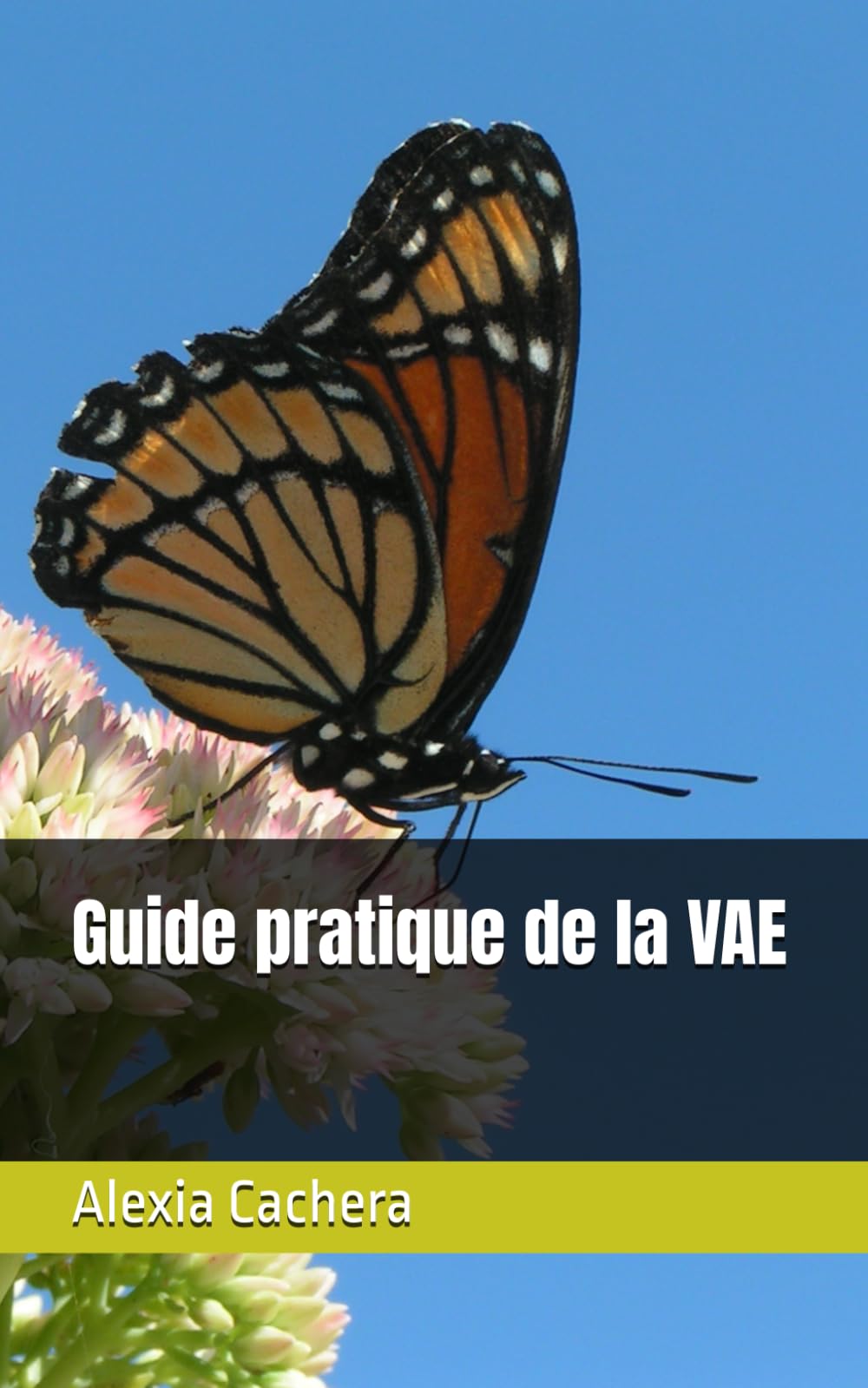 Guide pratique de la VAE: Comment valider vos compétence et obtenir un diplôme?