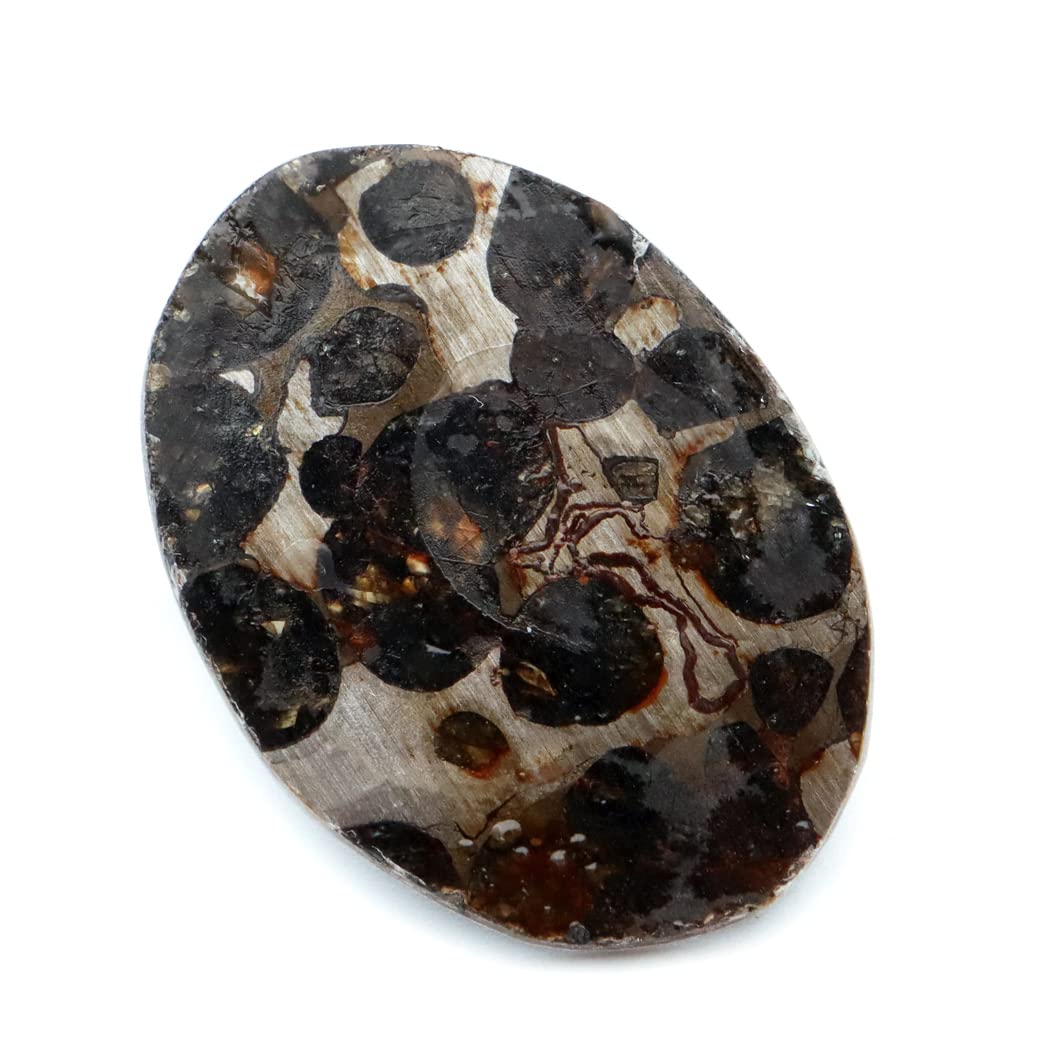 Amazon.co.jp: [GOLD STONE] パラサイト隕石 ケニア セリコ産 重量1.9g 