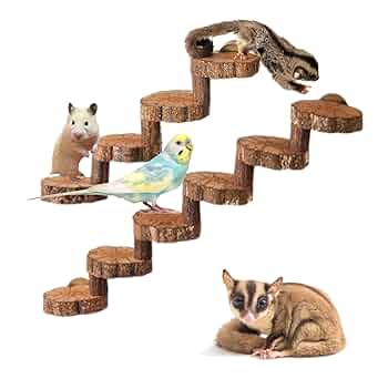 【大特価】モモンガまとめ売り 61VpqON4jcL._UF350,350_QL50_.jpg