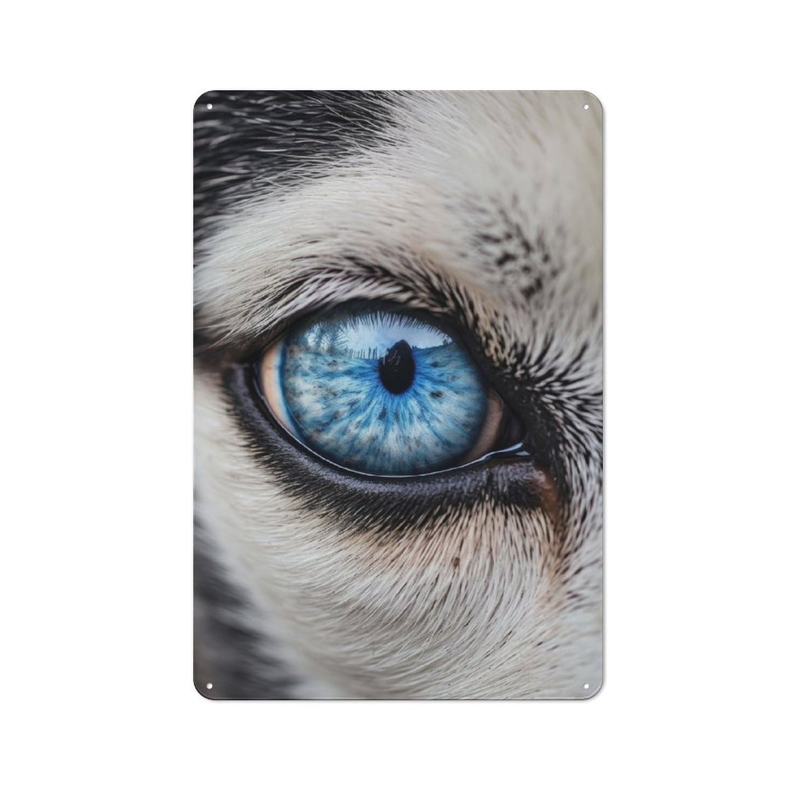 Junmoney Husky Eye For Garden Room Or Summerhouse, Retro Tin Sign 30X20cm, Suited To Wall Displays In Garden Rooms And Summerhouses