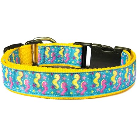 Scooby doo dog collar amazon Clearance