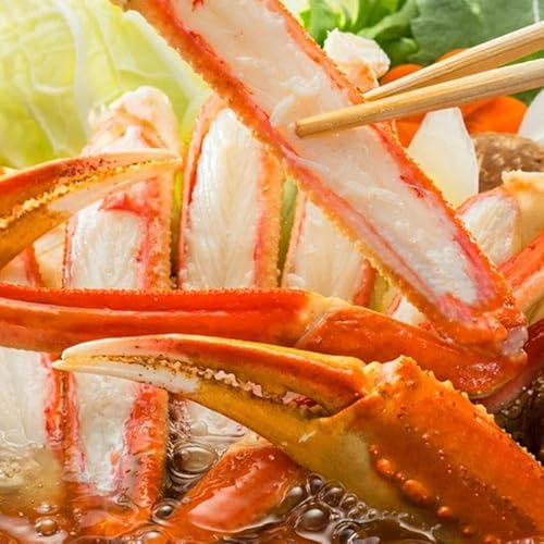 \X ܂邲 ɓZbg ɂ݂t 1t Jbgς YCKj Jj I Ⓚ