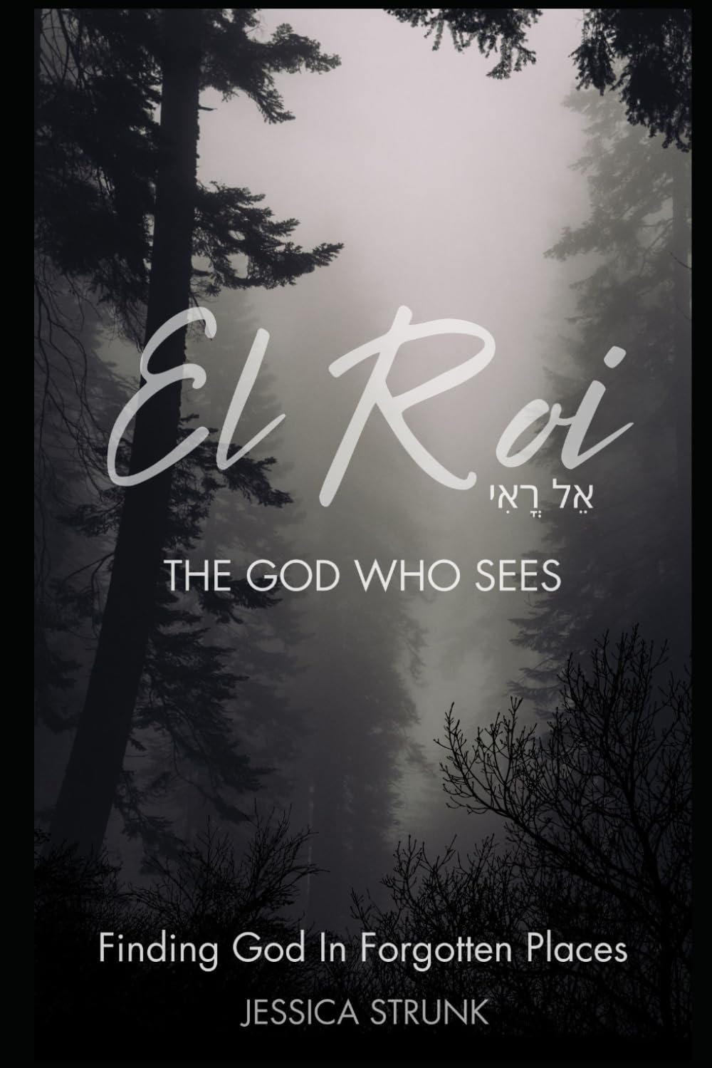 El Roi: The God Who Sees: Finding God in Forgotten Places