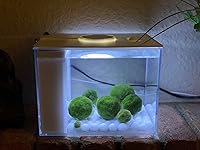 Review Image by Aunt JB