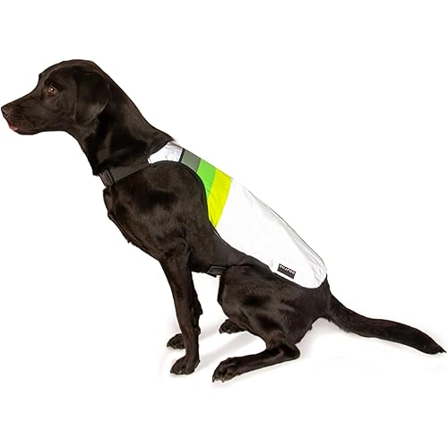 GOFLUO Moonlight Reflective Dog Coat - Northern Light Design - Size XXS – High-Visibility Vest for Dogs – Ideal for Night Walking, Outdoors Adventures