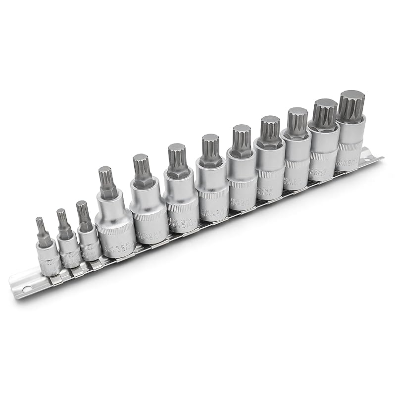 Jogo de Soquetes XZN Spline DAKCOS com Bits de Aço-liga S2 e Encaixes de 6,35 mm e 12,7 mm, M4–M18, 12 peças
