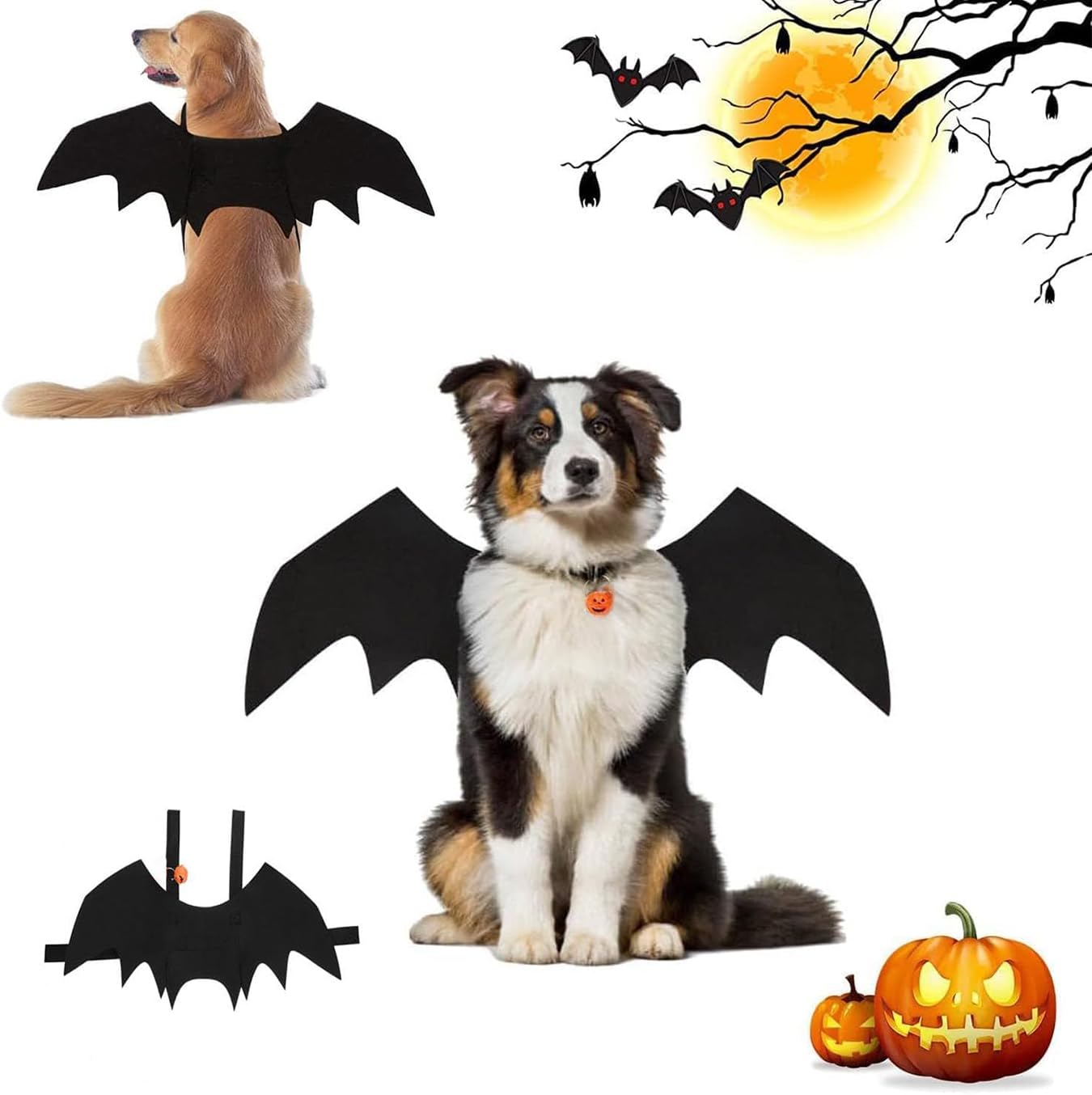 Halloween Cane Gatto per Animale, Cane Gatto Ali per Animali Domestici,Con Zucca Bells, Halloween Ali Di Pipistrello Da Compagnia,Domestici da Cosplay Costumi da Cani Gatti- Taglia M