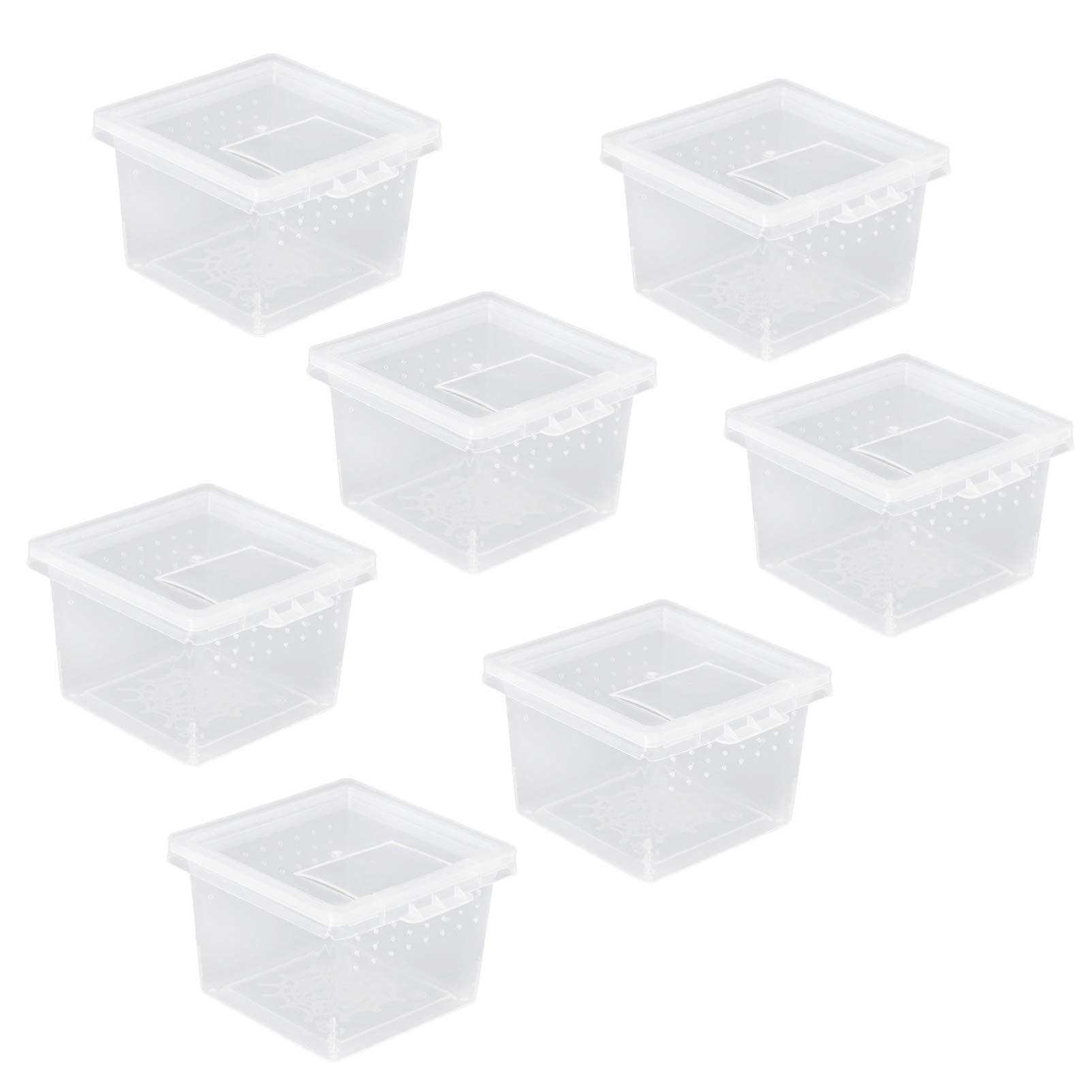 balacoo 10pcs Reptile Box Acrylic Small Reptile Breeding Box Feeding Box for Snake Spider Lizard Scorpion Centipede