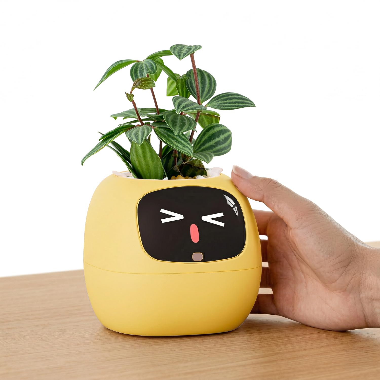PLANTSIO Ivy AI Desk Companion