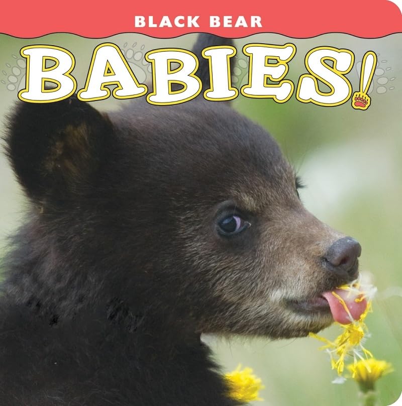 Black Bear Babies! (Babies! & Cuties!)