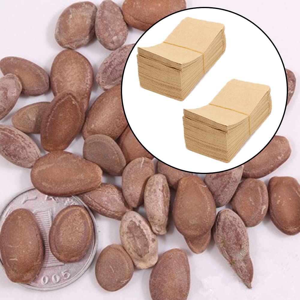Lot de 200 enveloppes en papier kraft marron pour emballage de pièces de monnaie, bijoux, timbres