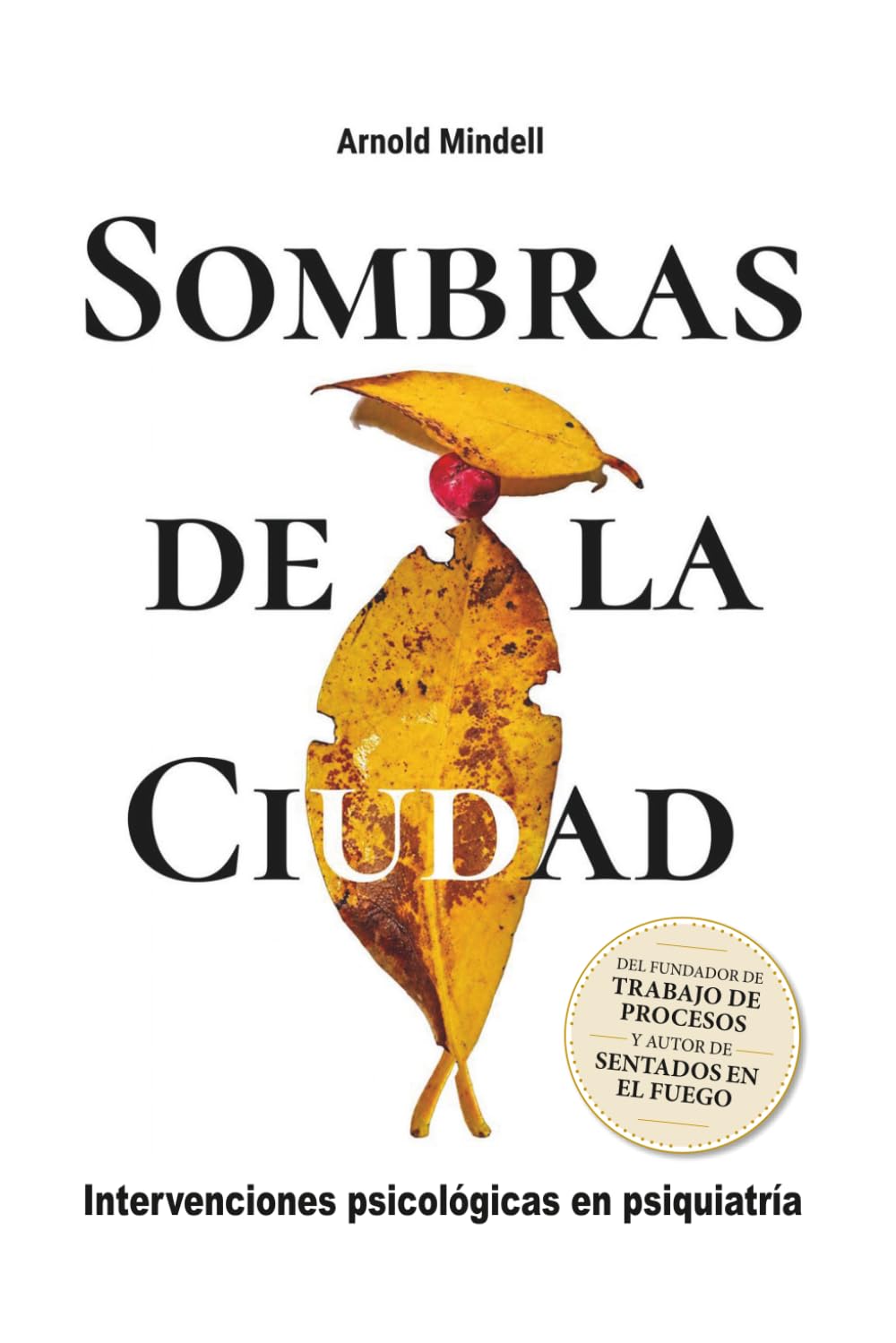 SOMBRAS DE LA CIUDAD: Intervenciones psicológicas en psiquiatría