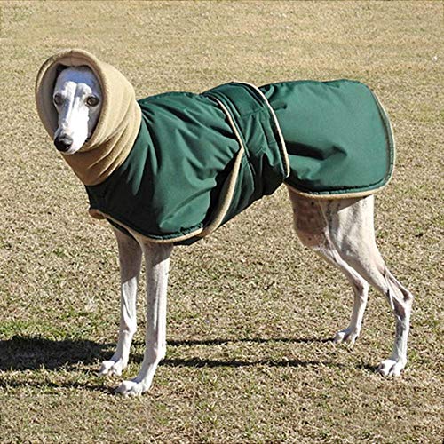 Whippet Wintermantel Iggy Warmer Mantel Italienisch Produktbild-Vorschau 4