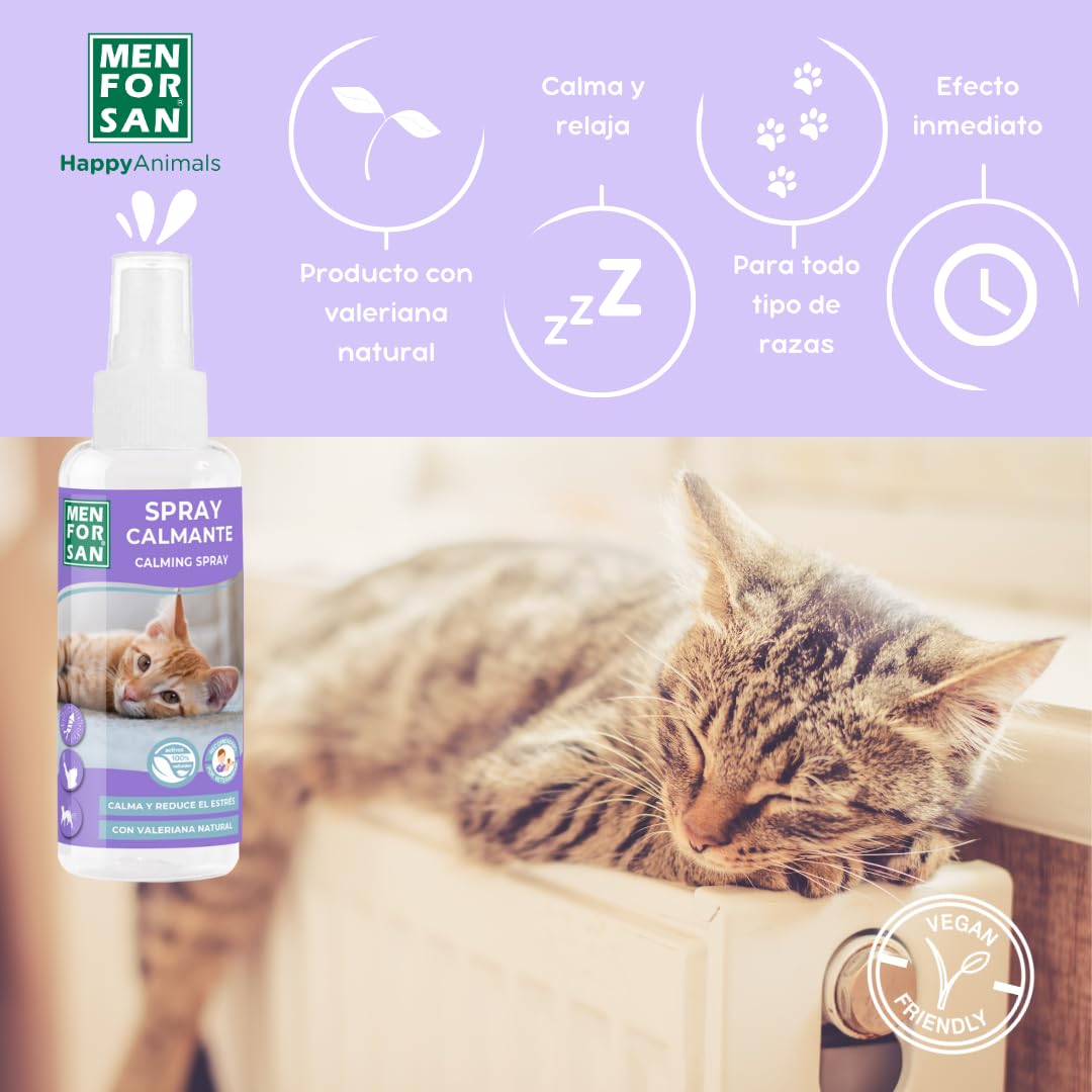 Ferplast Gatto Gioco Phantom Elettronico 0 - Foto 12