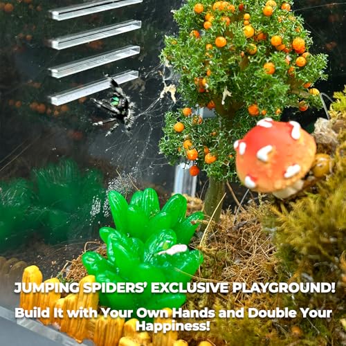 Image of Jumping Spider Enclosure,DIY Insects Habitat,Small Reptile Terrarium Glass House Accessories Set,with Temperature and Humidity Detector Water Feeder Platform Hide,5.5 inchx5.5 inchx9.5 inch (Farm)