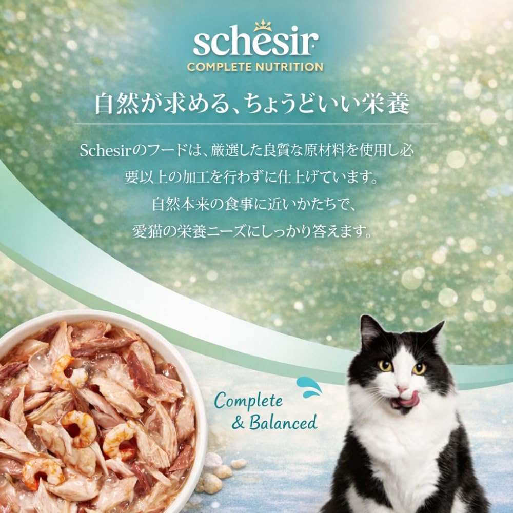 Amazon.co.jp: Schesir(シシア) キャットフード ツナwithエビ 85g×4缶