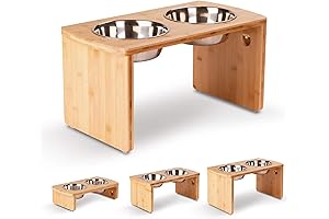 Luxurious Modern Elevated Dog Bowls