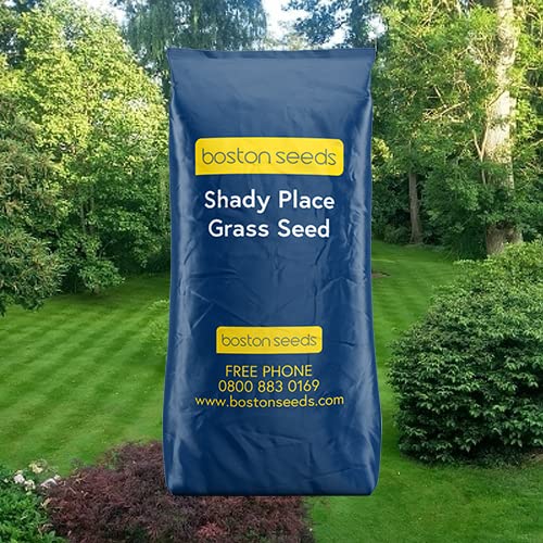 Boston Seeds Grass Seed for Shady Areas 2kg