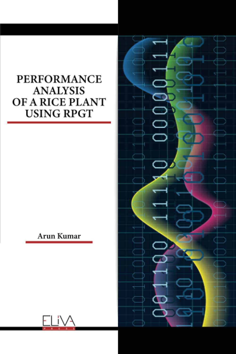 PERFORMANCE ANALYSIS OF A RICE PLANT USING RPGT
