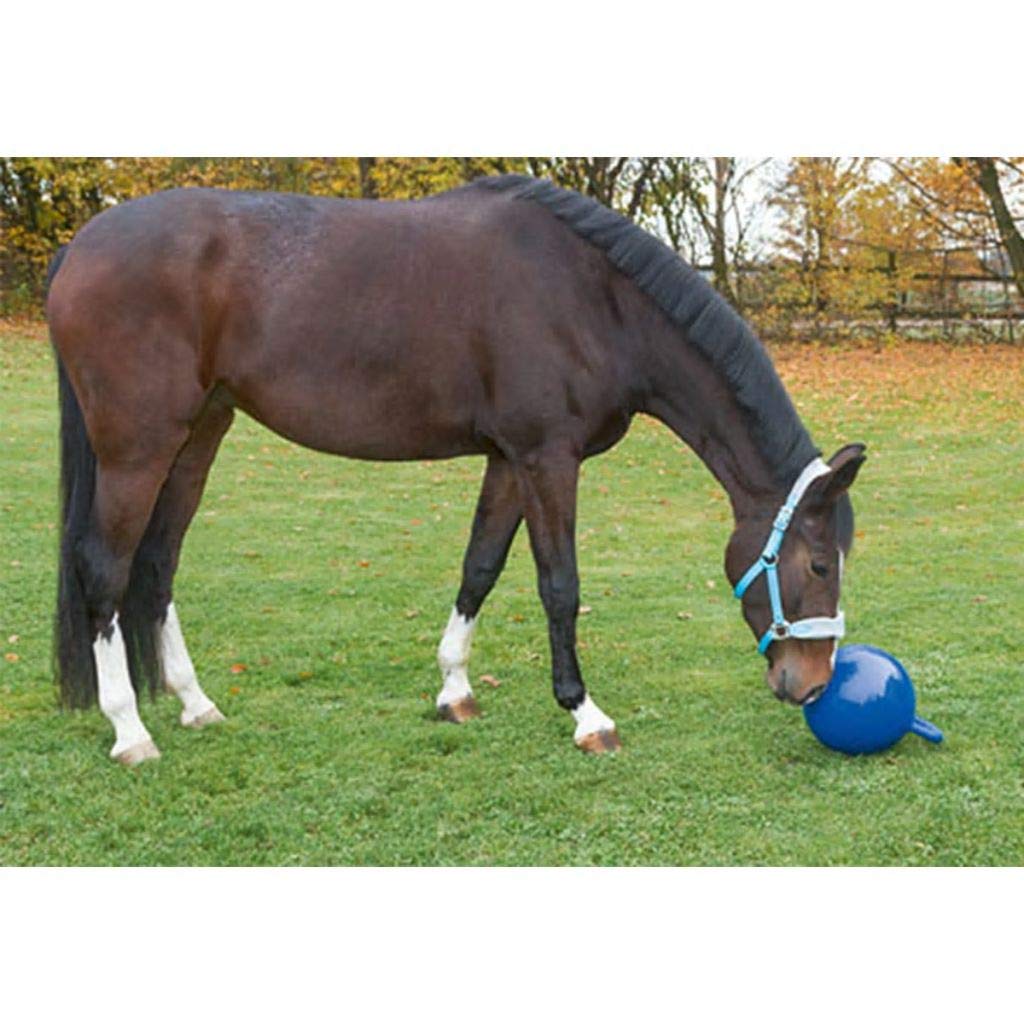 Kerbl balle de jeu pour cheval, jouet pour cheval, balle de jeu animal, bleue, PVC, Ø 25 cm, chevaux, avec valve, durable