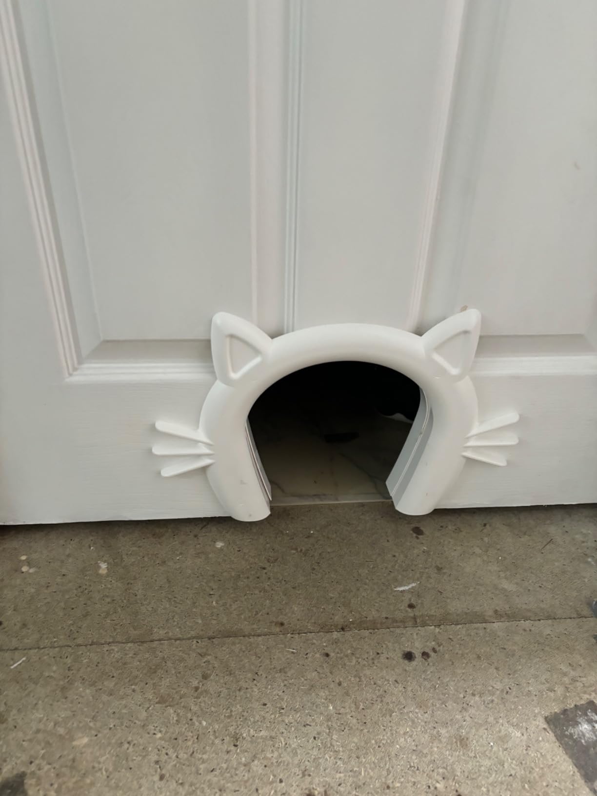 PetSafe Cat Corridor Interior Pet Door, For Small, Medium and Large