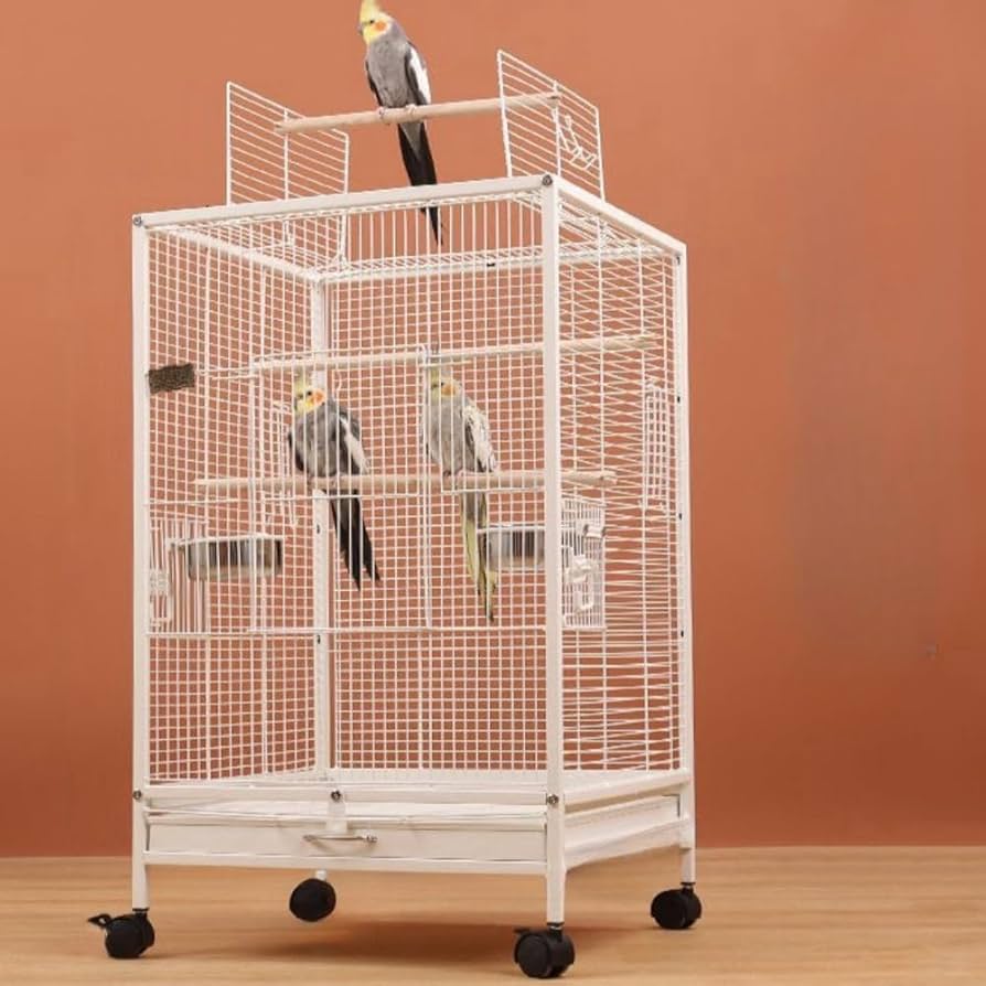 Amazon | Aeroor鳥かご バードケージ 小鳥のおり 美しい鳥かご クリア Amazon | Aeroor鳥かご バードケージ 小鳥のおり 美しい鳥かご クリア